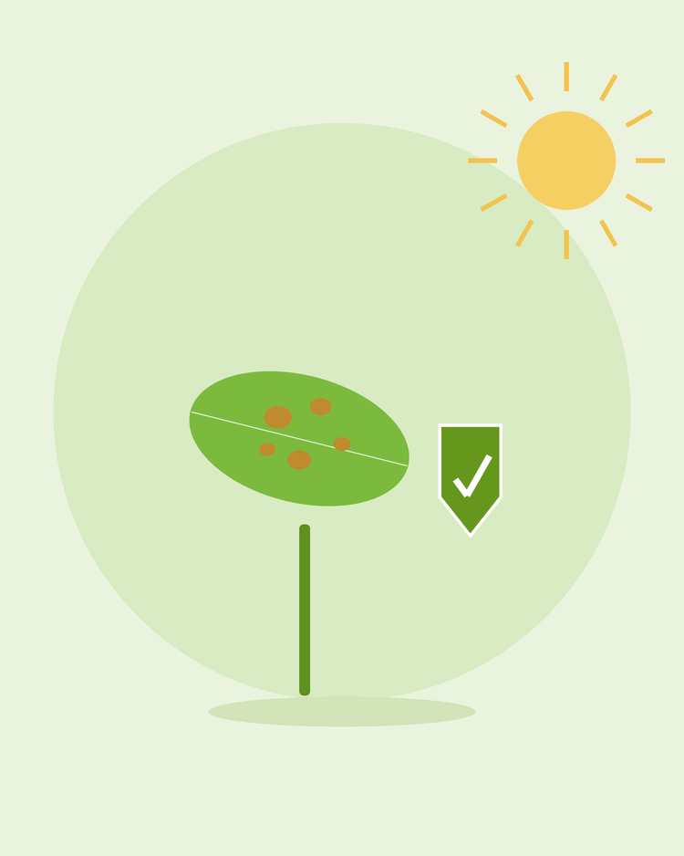 Platt illustration av ett fläckigt blad bredvid en grön sköldsymbol — förebygga vanliga växtsjukdomar, från SeedsChoice