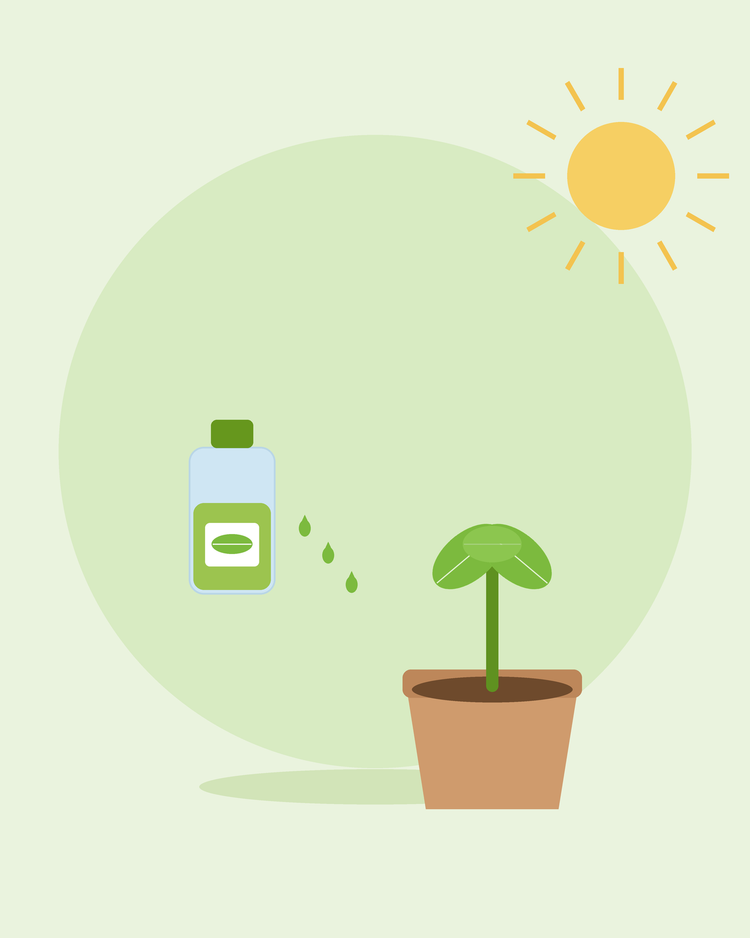 Platt illustration av en näringslösningsflaska med droppar bredvid en planta i kruka — gödsling och näringstillförsel, från SeedsChoice