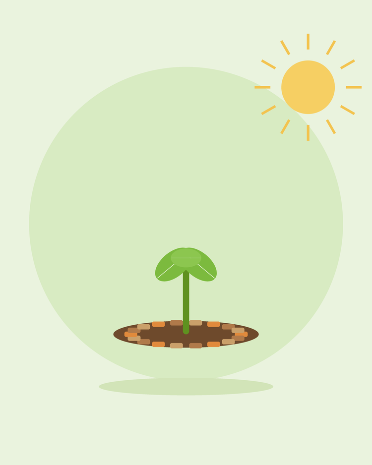 Platt illustration av en planta omgiven av marktäckningsflis — marktäckning och ogräsbekämpning, från SeedsChoice