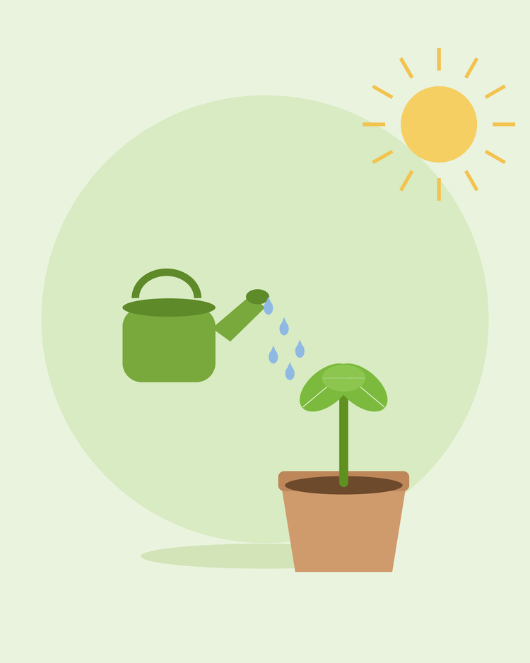 Platt illustration av en grön vattenkanna som vattnar en planta i kruka — vattning i trädgården, från SeedsChoice