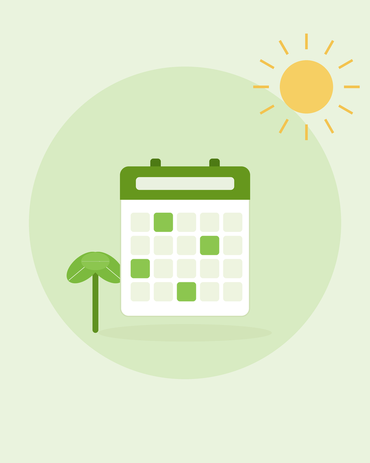 Platt illustration av en väggkalender med en grodd — såkalender månad för månad, från SeedsChoice