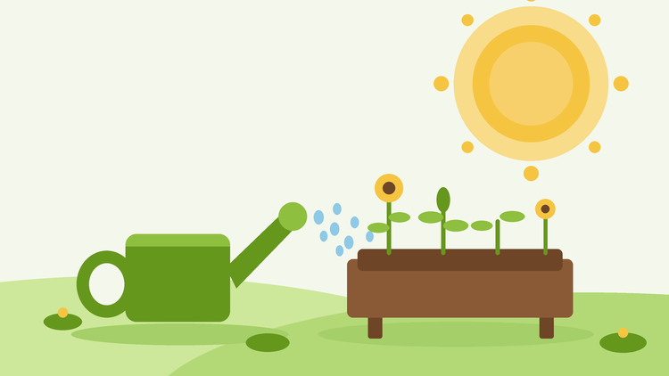 Vattning under värmebölja — platt illustration av en vattenkanna som blöter en upphöjd odlingsbädd under en stark sommardag, från SeedsChoice