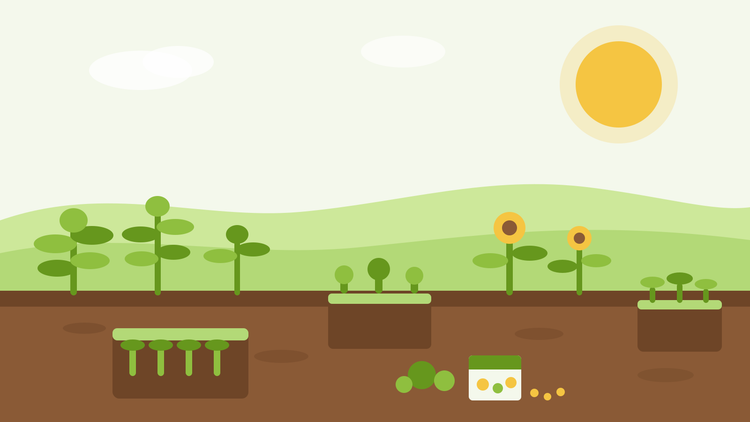 Vad du ska så i augusti — platt illustration av fröbrickor med sallatplantor, solrosor och ett fröpaket i en sommarträdgård