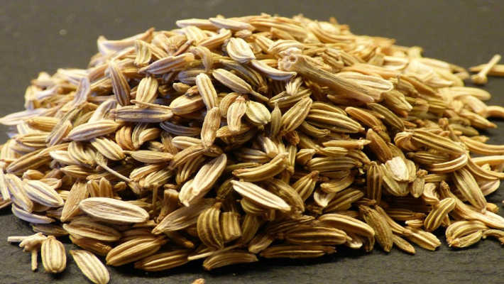 Örtfrön – SeedsChoice