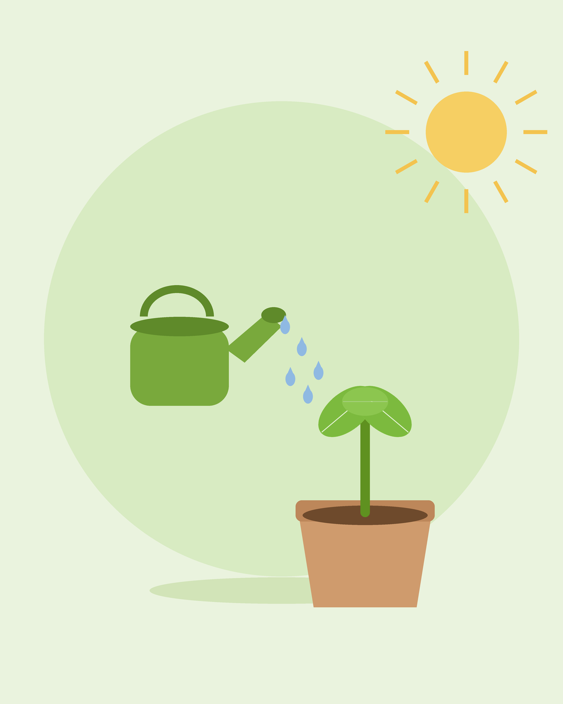 Platt illustration av en grön vattenkanna som vattnar en planta i kruka — vattning i trädgården, från SeedsChoice