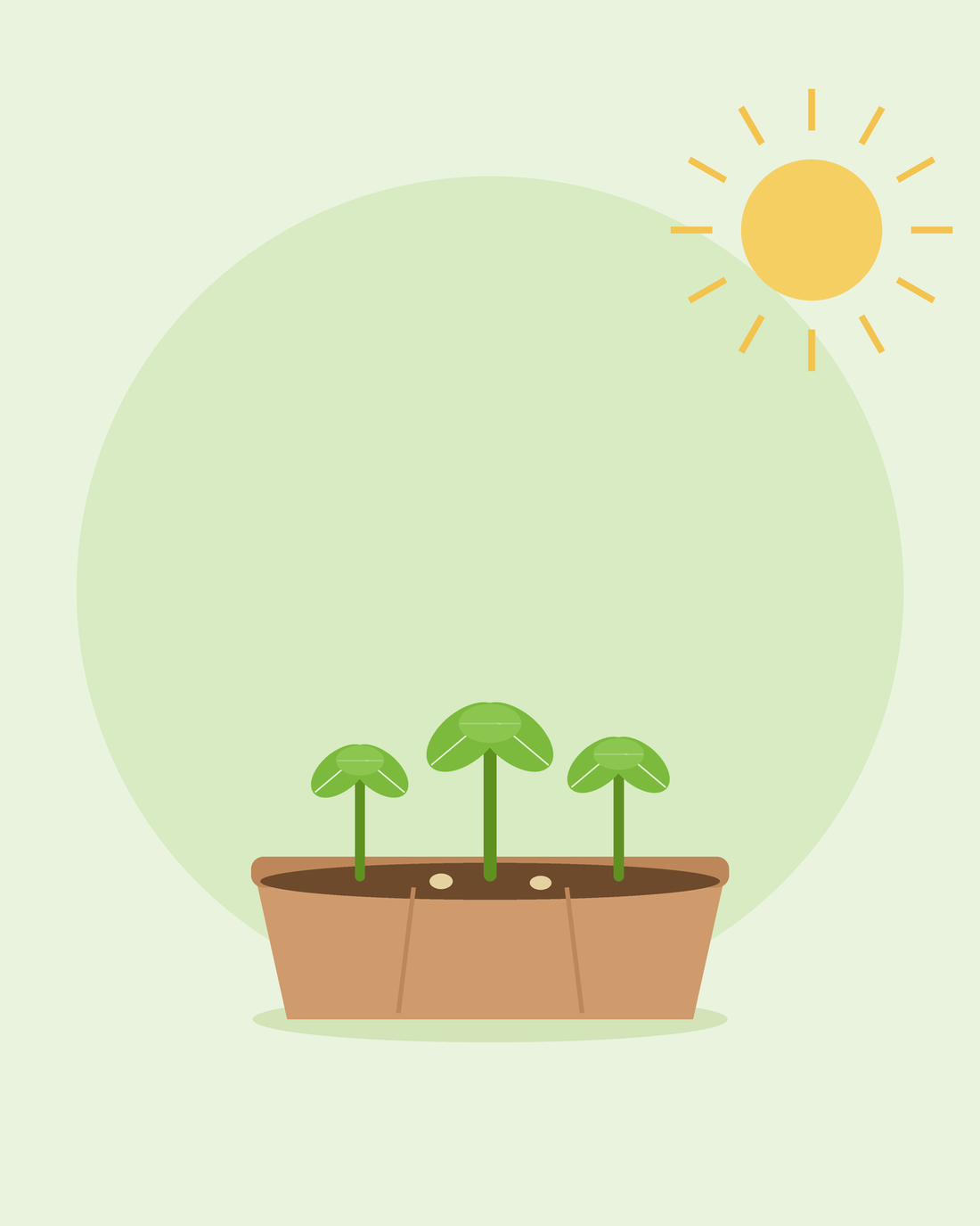 Platt illustration av ett såtråg med tre unga plantor i solen — odla från frö för nybörjare, från SeedsChoice