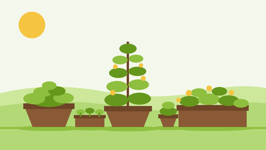 Odling från frö i krukor och kärl — platt illustration av terrakottakrukor, ett fönsterlådor och en fröbricka med unga plantor på en solig uteplats