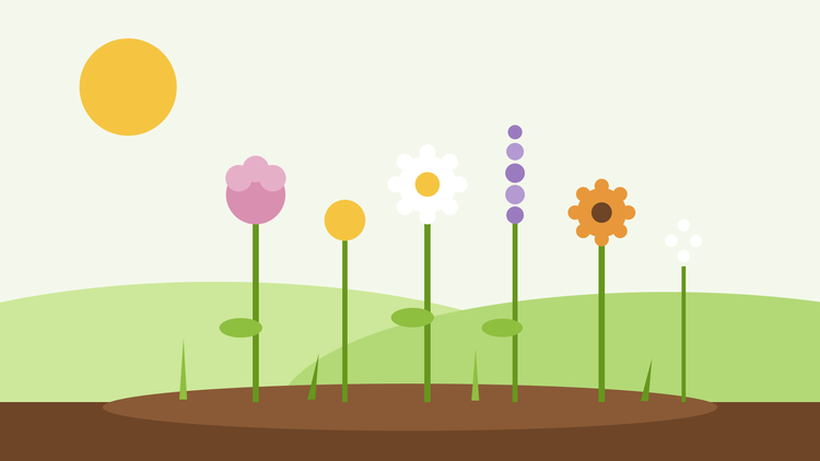 Snittblomsträdgård från frö — platt illustration av en rad färgglada snittblommor i en rabatt