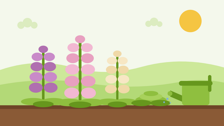 Skötsel av Dalmatian fingerborgsblomma — platt illustration av tre fingerborgsblommestängler med bladrosetter, en mulchad rabatt och en vattenkanna
