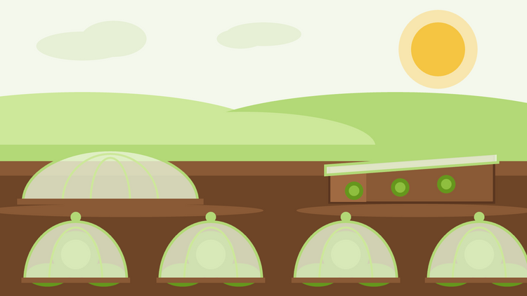 Hur du förlänger odlingssäsongen — platt illustration av klockar och ett kallskydd som skyddar plantor i en rabatt