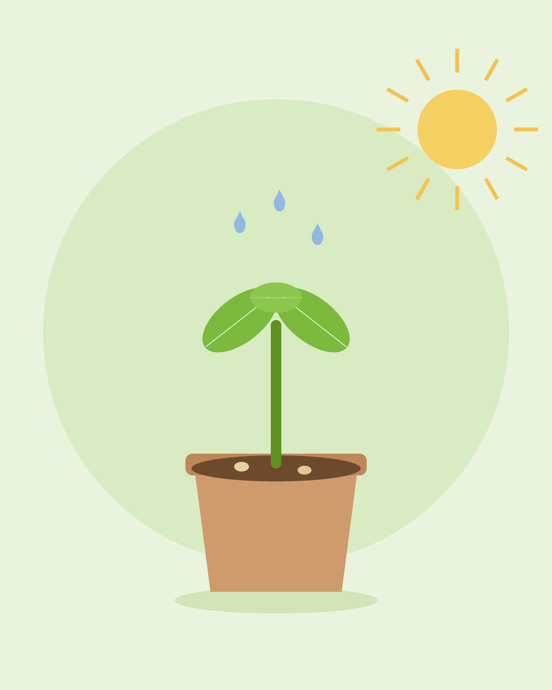 Platt illustration av en ung planta som gror i en blomkruka under solen med vattendroppar — gro frön från SeedsChoice