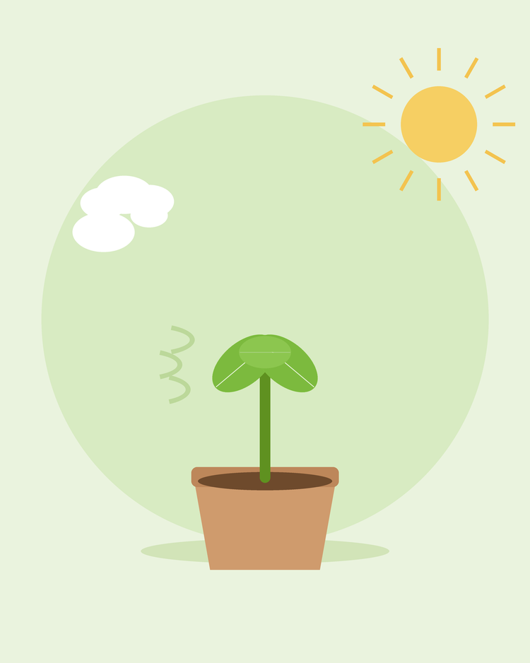 Platt illustration av en krukplanta utomhus i sol och vind — härdning av plantor, från SeedsChoice