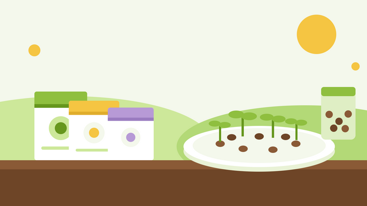 Hur länge håller frön — en platt illustration av fröpåsar, en burk med frön och ett groningsfat med groddar