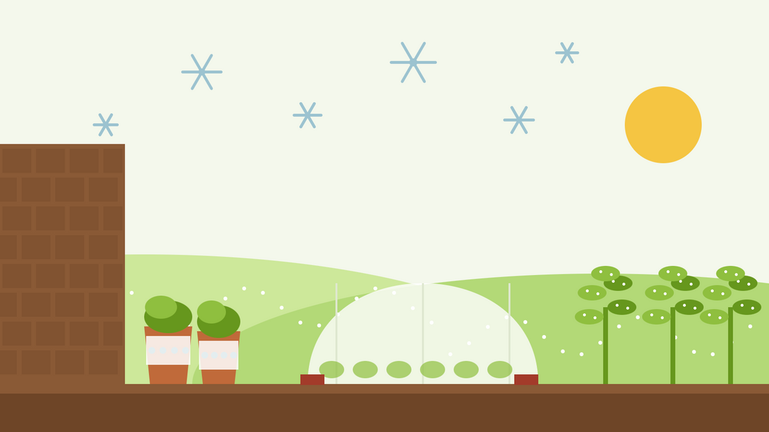 Så skyddar du växter mot frost — illustration i platt stil av en tunnel av fiberduk över en grönsaksbädd, inlindade krukor mot en husvägg och frostig grönkål under iskristaller