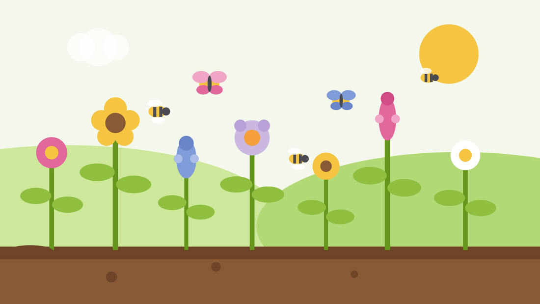 Blommor för pollinatörer med bin och fjärilar — platt illustration av en blandad rabatt med enkelblommiga sorter och besökande bin och fjärilar