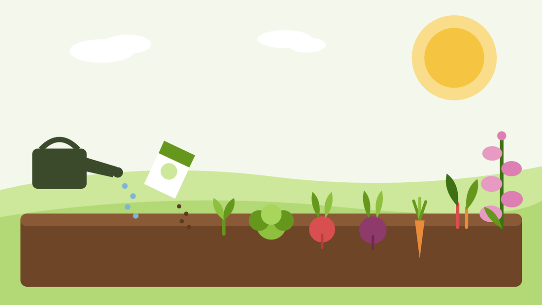 Vad du ska så i juli — platt illustration av en sommarrabatt sådd med sallader, höströtter och tvååriga fingerborgsblommor, från SeedsChoice