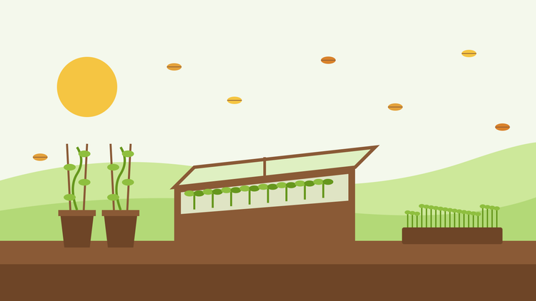 What to sow in October — flat illustration of sweet peas in deep pots, seedlings in a cold frame and a tray of microgreens under falling autumn leaves
