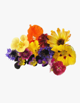collection_image