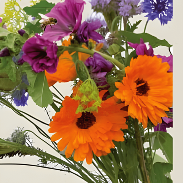 For Bees Mix frön (Sinapis alba) – ekologisk ettårig blomma