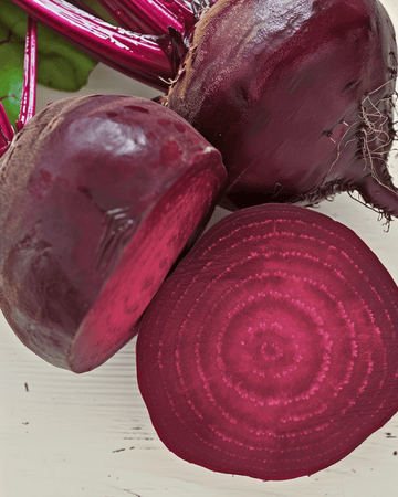 Rödbetsfrön Egyptian Turnip Rooted (Beta vulgaris) – ekologisk ettårig grönsak