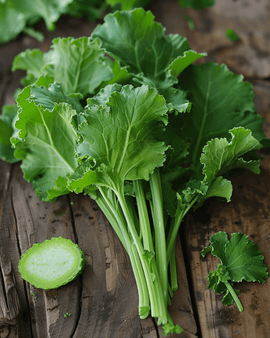 Rovblastfrön ekologisk Brassica Rapa ettårig Namenia