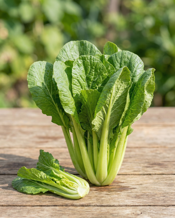 Rovblast Namenia (Brassica rapa) – ekologiska ettåriga grönsaksfrön från SeedsChoice