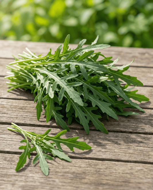 Vild ruccola bladgröda (Diplotaxis tenuifolia) – ekologiska grönsaksfrön från SeedsChoice