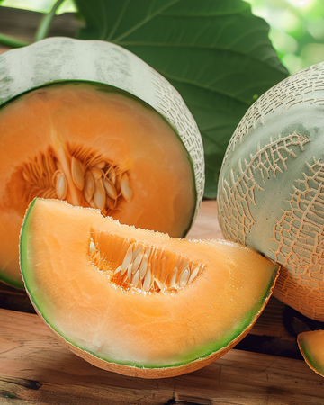 Charentais-melonfrön (Cucumis melo) – ettårig grönsak