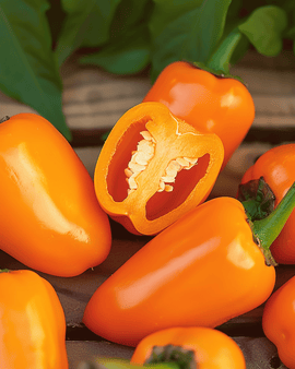 Frön Söt Paprika Snacking Mini Orange Ettårig Capsicum Annuum