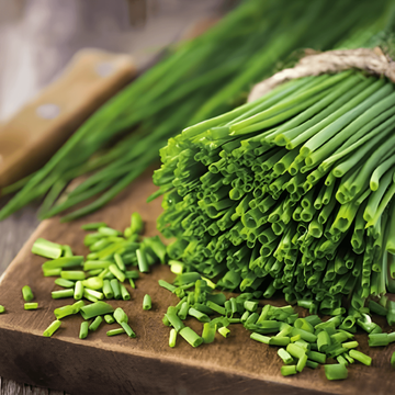 Chives Prager Medium Fine frön (Allium schoenoprasum) – flerårig ört