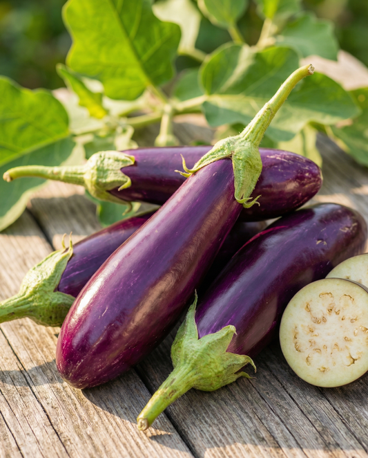 Aubergin Violetta Lunga 2 (Solanum melongena) – ettåriga grönsaksfrön från SeedsChoice