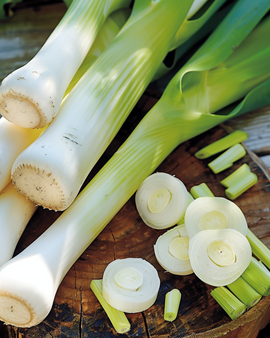 Purjolöksfrön Winterreuzen 3 Allium Porrum Ettårig Sort