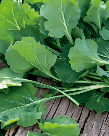 Majrovsblad frön (Brassica rapa) – ettårigt grönsaksfrö