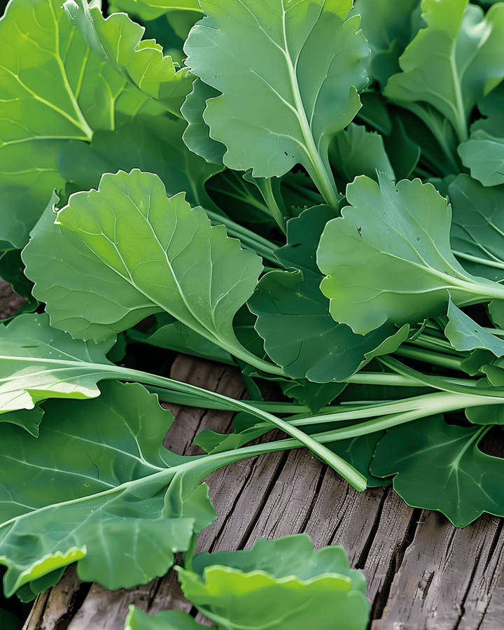Majrovsblad frön (Brassica rapa) – ettårigt grönsaksfrö