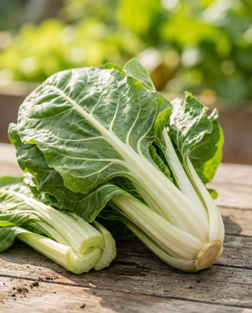 Mangold Lucullus (Beta vulgaris) – ettåriga grönsaksfrön från SeedsChoice