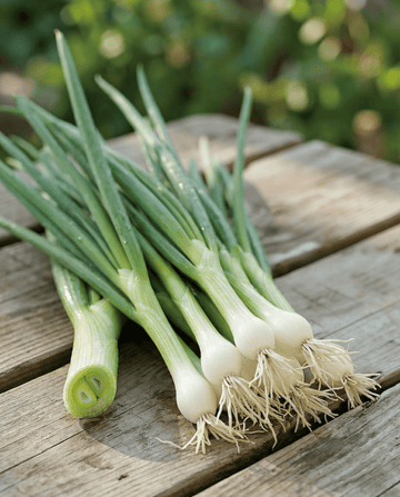 Knippelök White Lisbon (Allium cepa) – ettåriga grönsaksfrön från SeedsChoice