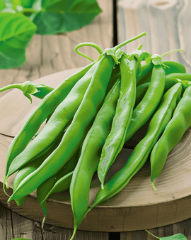 Störbönsfrön Raadsheer Phaseolus vulgaris – ettårig