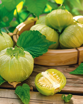 Tomatillo-frön Physalis Ixocarpa ettårig grönsak