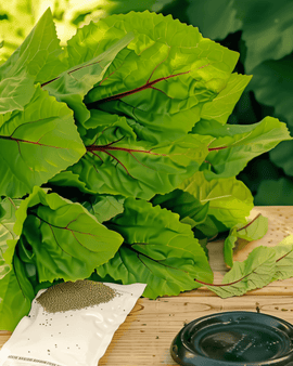 Kinesisk spenat frön Amaranthus dubius ettårig Bayam