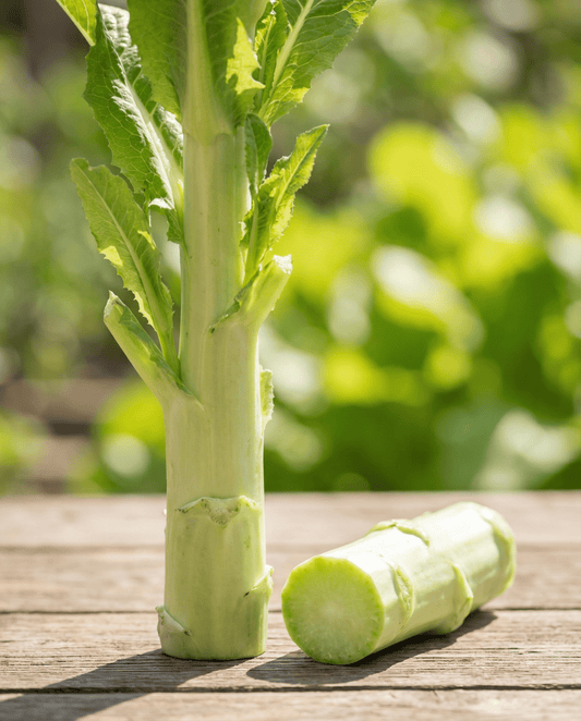 Stjälksallat (Lactuca sativa) – ettåriga grönsaksfrön från SeedsChoice