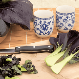 Röd tatsoi fröer Brassica rapa grönsak