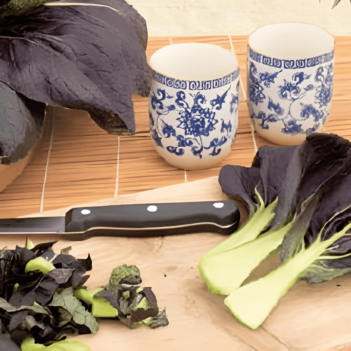 Röd tatsoi fröer (Brassica rapa) – grönsak