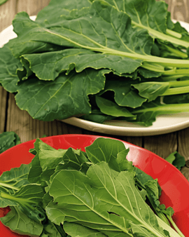 Komatsuna frön Brassica rapa Mustard Spinach grönsak