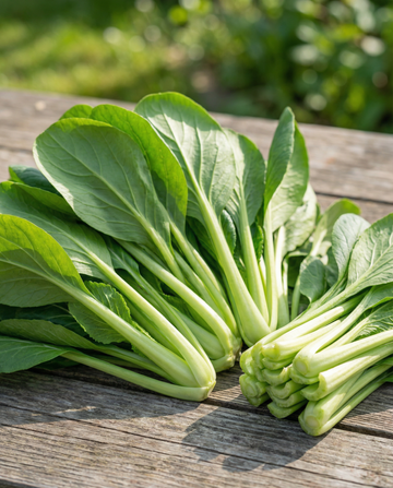 Komatsuna Mustard Spinach (Brassica rapa) – grönsaksfrön från SeedsChoice