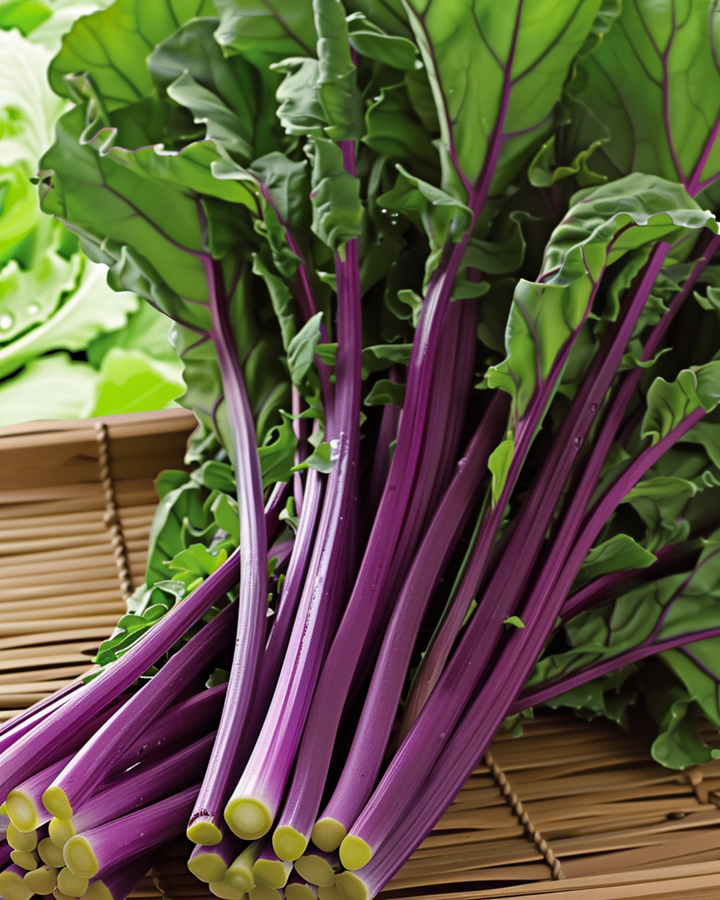 Hon Tsai Tai Purple Stems-frön (Brassica rapa) – ettårig