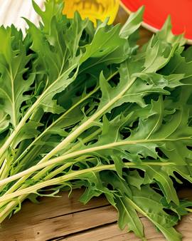 Mizunafrön Brassica rapa grönsak