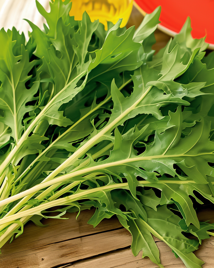 Mizunafrön (Brassica rapa) – grönsak