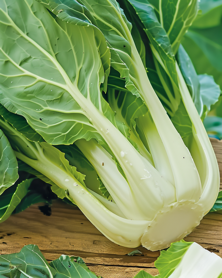 Pak Choi-frön (Brassica chinensis) – ettårig grönsak