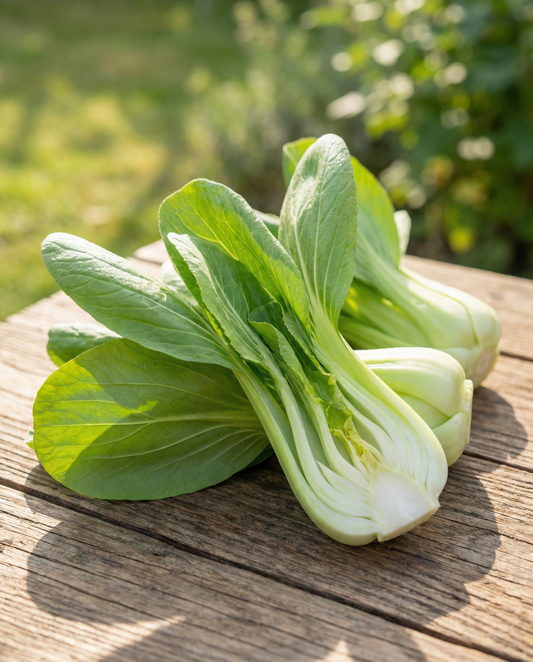 Pak Choi (Brassica chinensis) – ettåriga grönsaksfrön från SeedsChoice