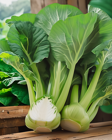 Pak Choi Green F1-frön (Brassica pekinensis) – ettårig grönsak